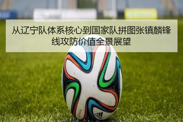 从辽宁队体系核心到国家队拼图张镇麟锋线攻防价值全景展望