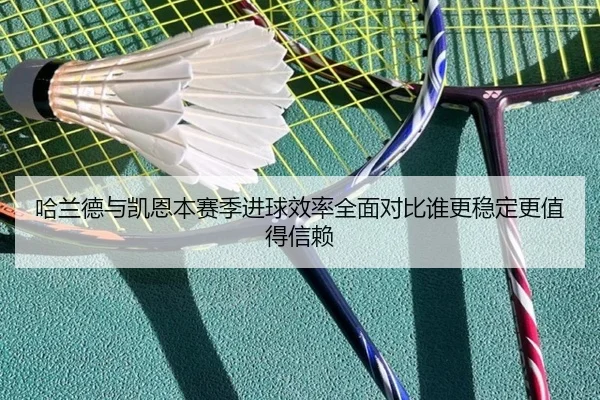 哈兰德与凯恩本赛季进球效率全面对比谁更稳定更值得信赖