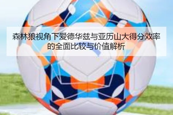 森林狼视角下爱德华兹与亚历山大得分效率的全面比较与价值解析